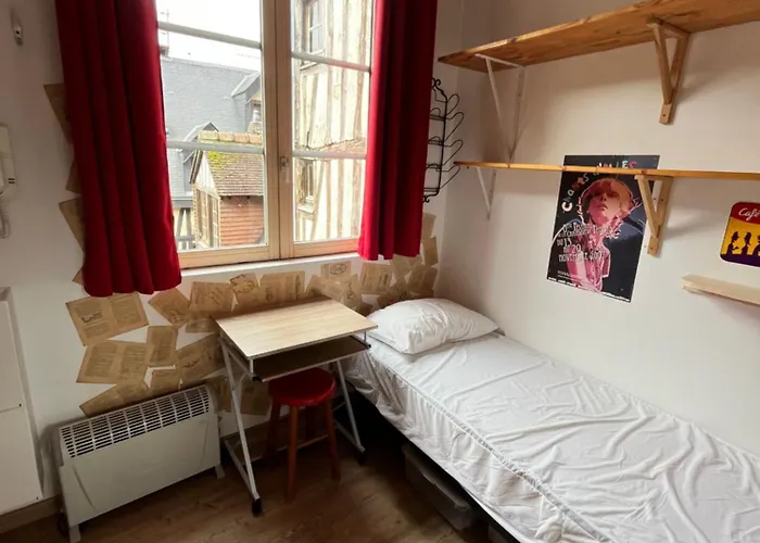 Petit Nid Ensoleille *