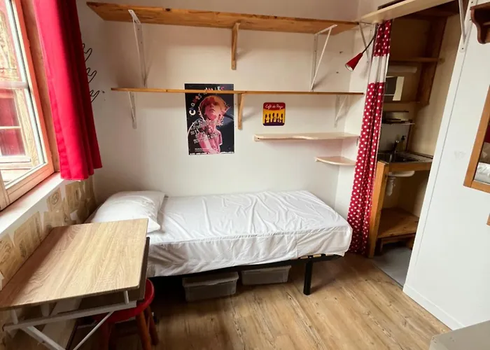 Petit Nid Ensoleille Apartment