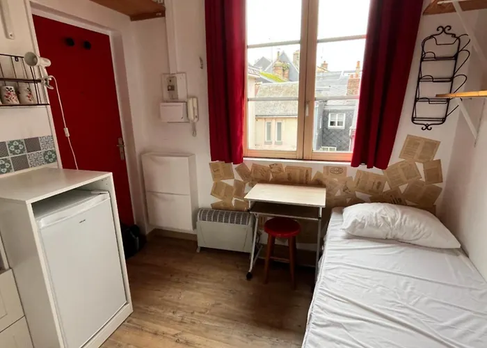 Petit Nid Ensoleille Rouen