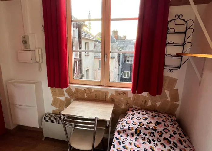 Appartement Petit Nid Ensoleille Rouen